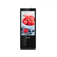 Монитор DAHUA DH-LDV49-SAI200